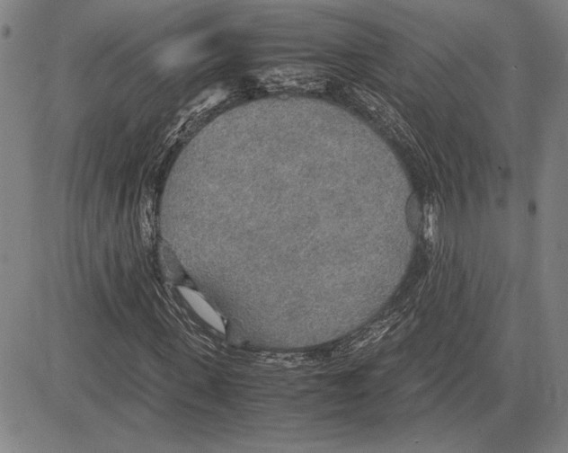 X0000081630915200702121701