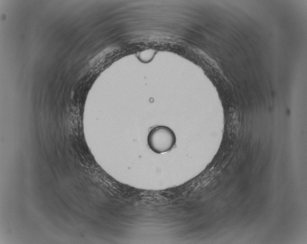 X0000081630918200702121701