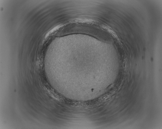 X0000081630920200702121701