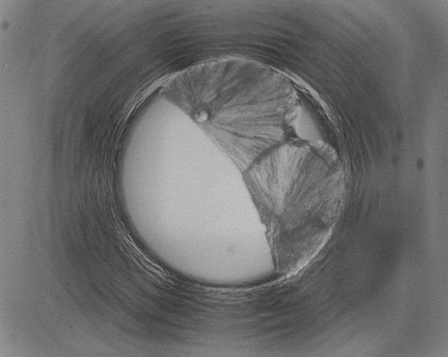 X0000081630921200702121701