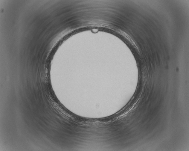 X0000081630926200702121701