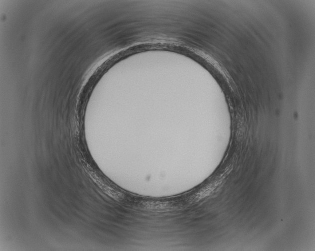 X0000081630927200702121701