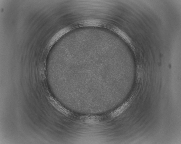 X0000081630930200702121701