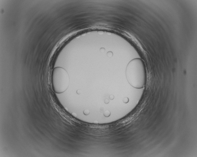 X0000081630931200702121701