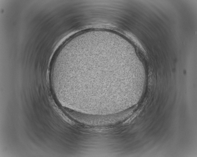 X0000081630932200702121701