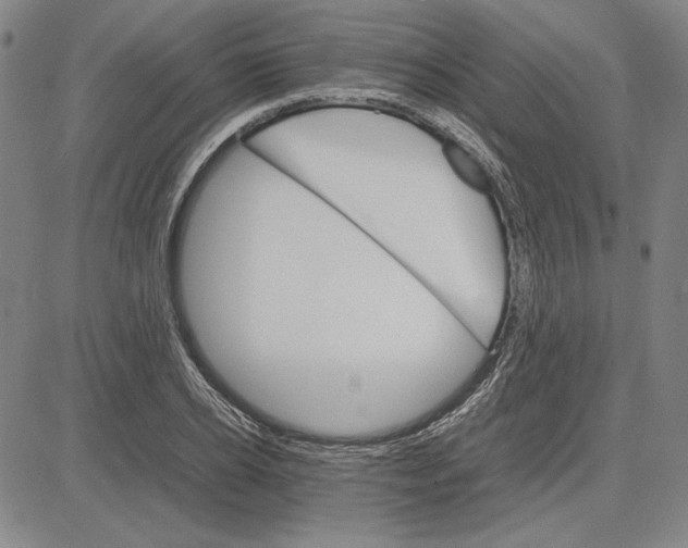 X0000081630934200702121701