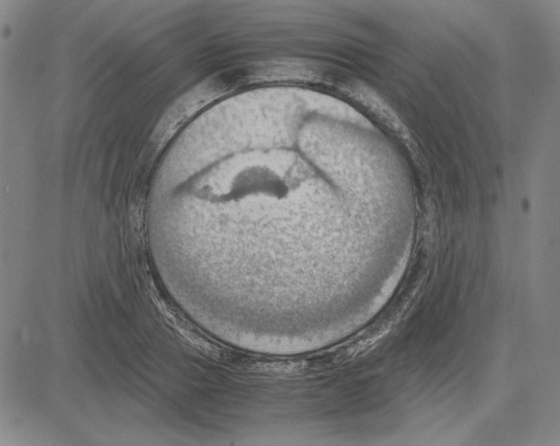 X0000081630937200702121701