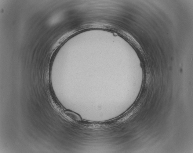 X0000081630938200702121701