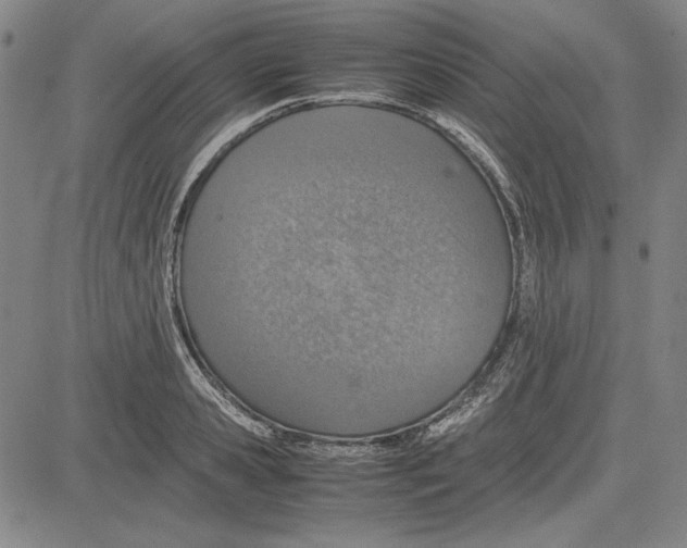 X0000081630941200702121701