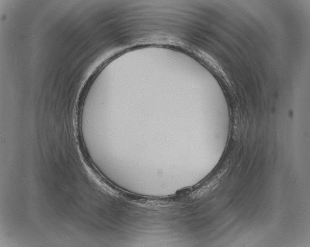 X0000081630942200702121701