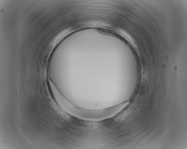 X0000081630946200702121701