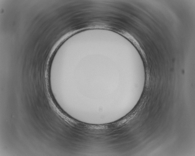 X0000081630947200702121701