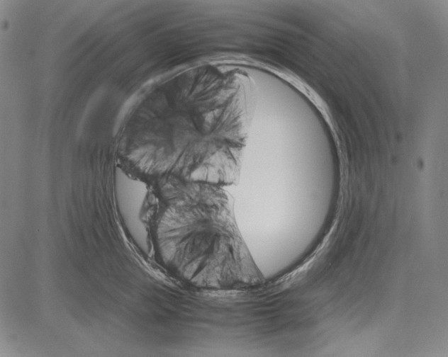 X0000081630953200702121701