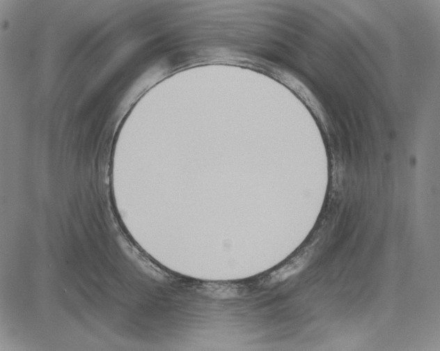 X0000081630954200702121701