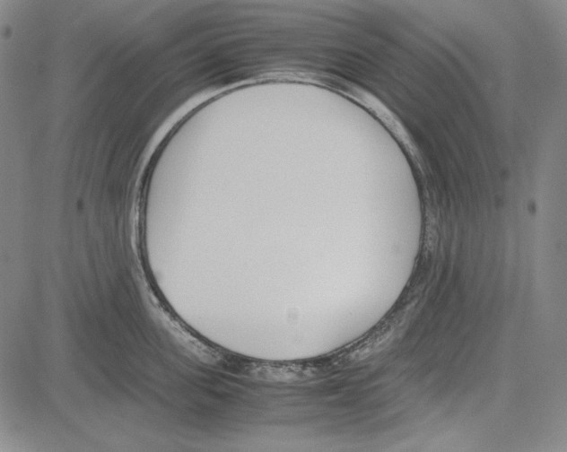 X0000081630955200702121701