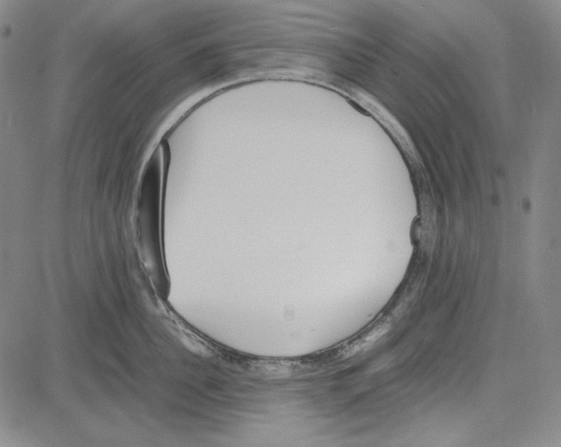 X0000081630956200702121701