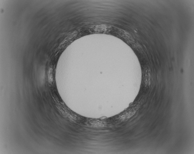 X0000081630962200702121701