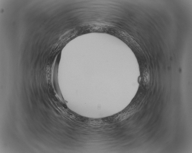 X0000081630964200702121701