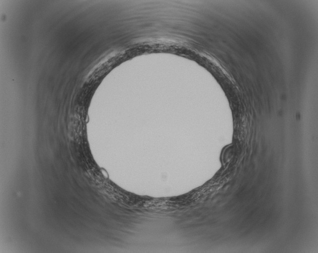 X0000081630967200702121700