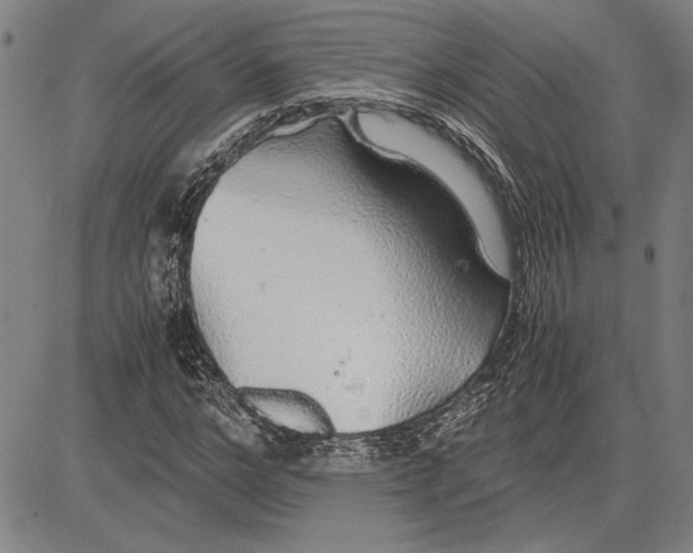 X0000081630968200702121700