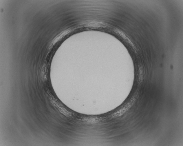 X0000081630970200702121700