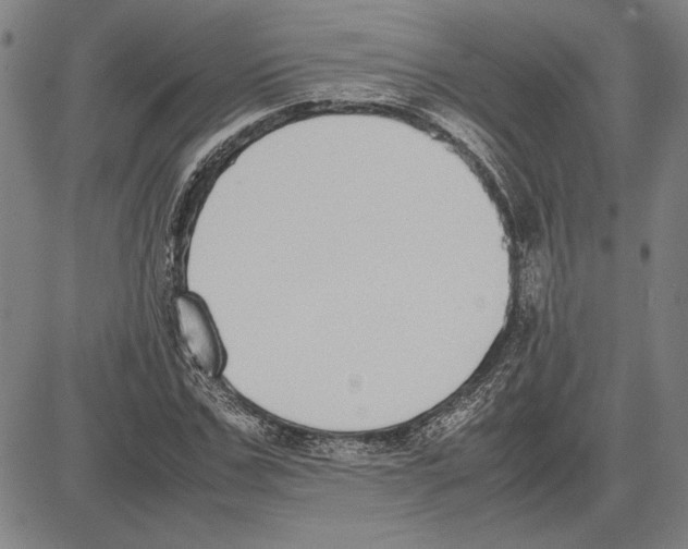 X0000081630971200702121700