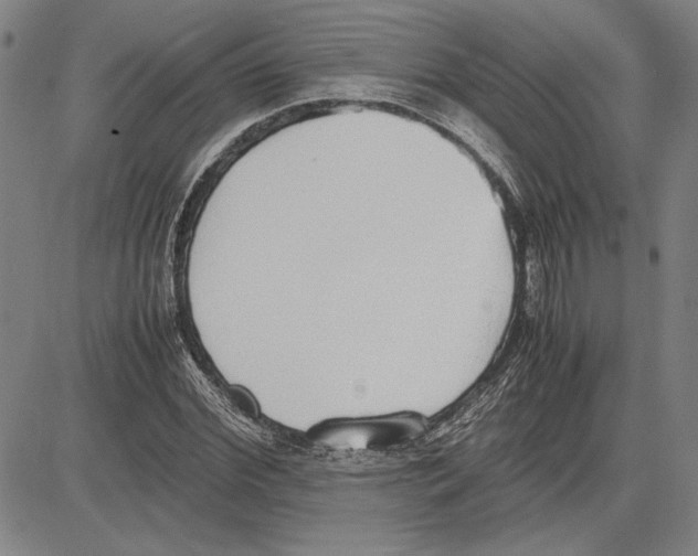 X0000081630972200702121700