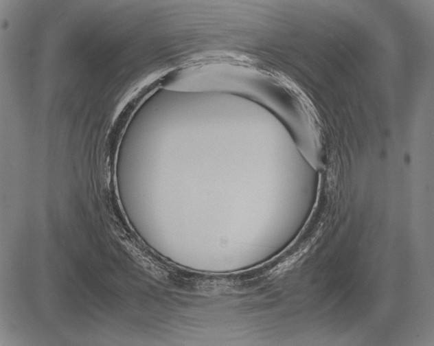 X0000081630973200702121700