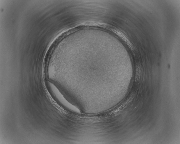 X0000081630976200702121700