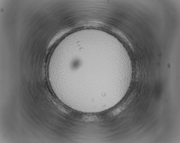 X0000081630978200702121700