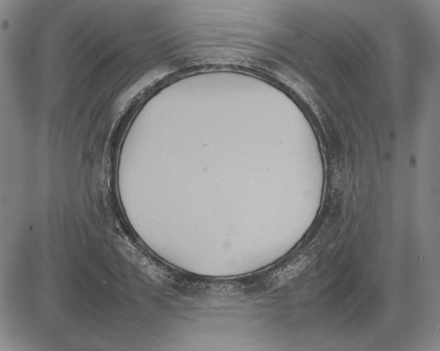 X0000081630979200702121700