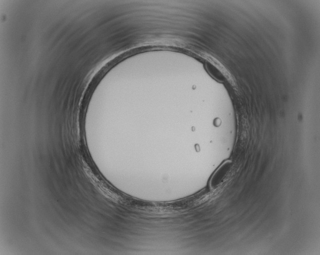 X0000081630980200702121700