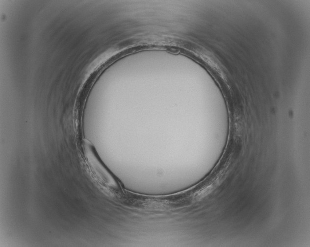 X0000081630981200702121700