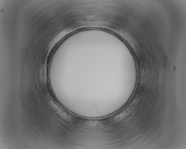 X0000081630982200702121700