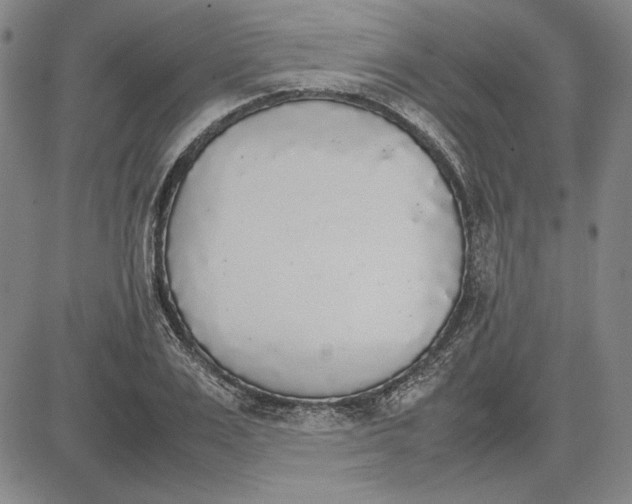 X0000081630983200702121700