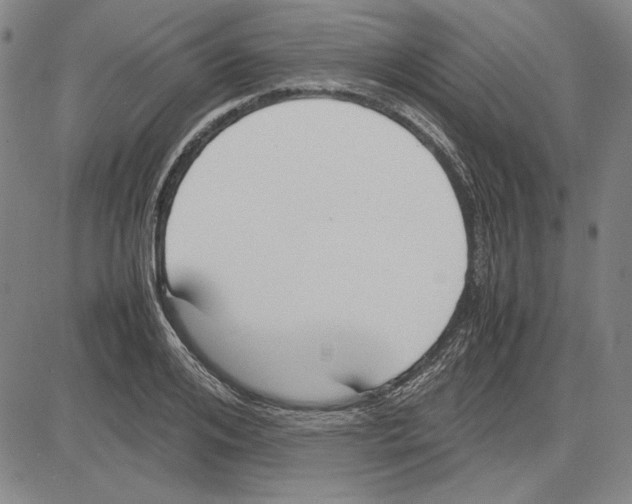 X0000081630984200702121700