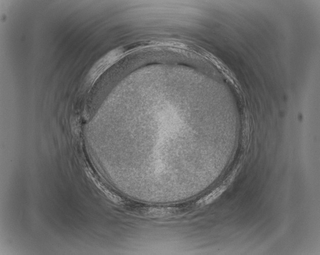 X0000081630985200702121700