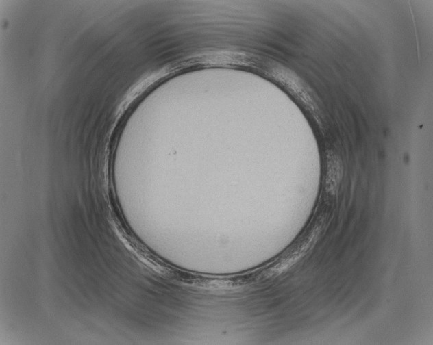 X0000081630986200702121700