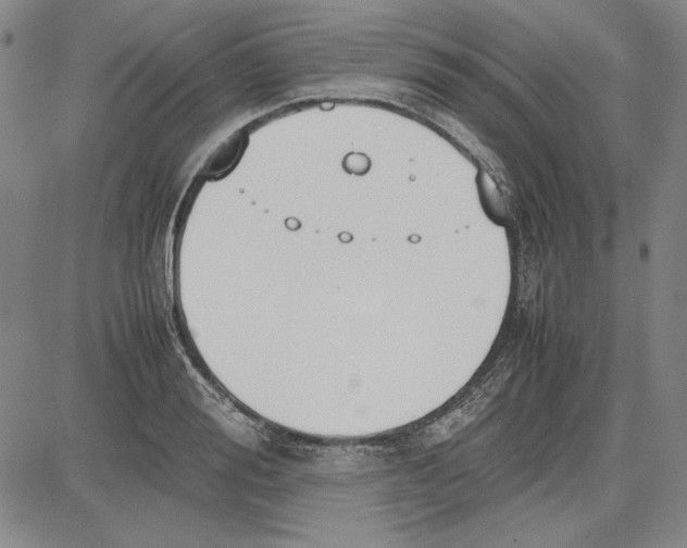 X0000081630988200702121700