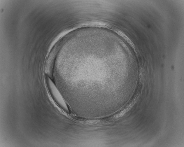 X0000081630989200702121700