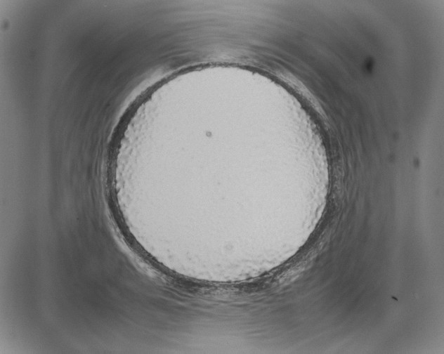 X0000081630991200702121700