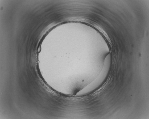 X0000081630992200702121700