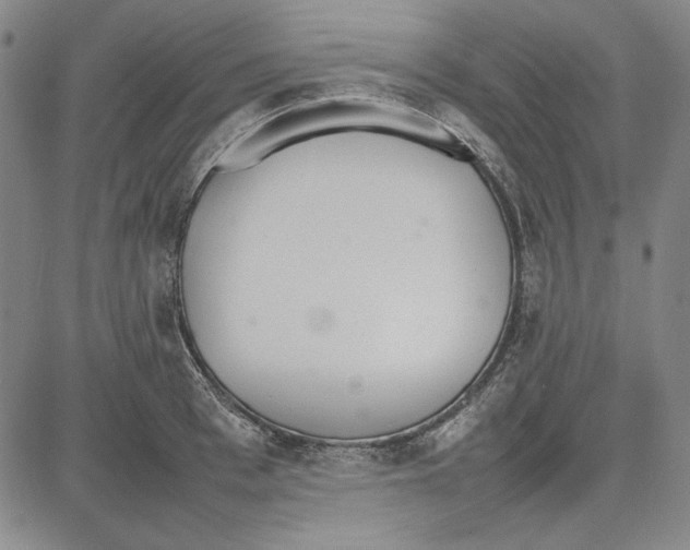 X0000081630993200702121700