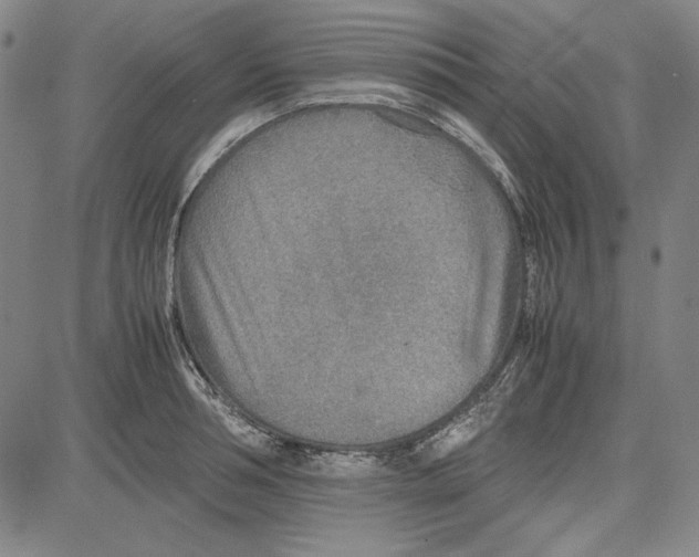 X0000081630994200702121700