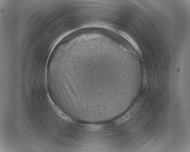 X0000081630996200702121700