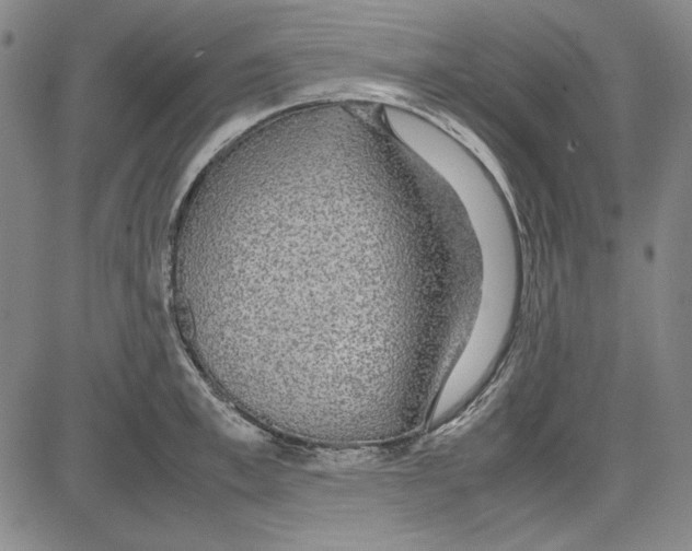 X0000081630997200702121700