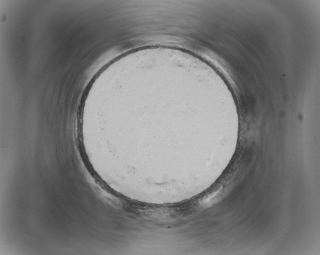 X0000081630999200702121700