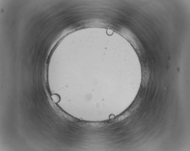 X0000081631000200702121700