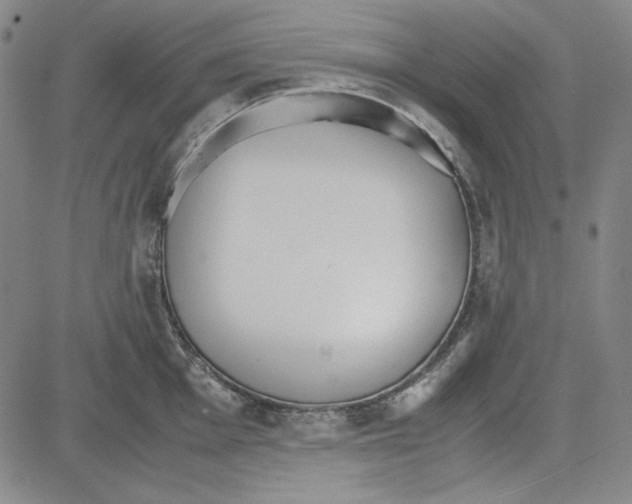 X0000081631001200702121700