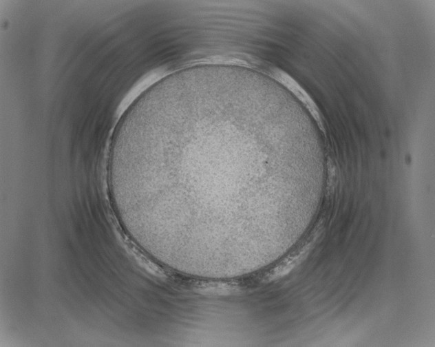 X0000081631002200702121700